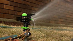 Watering Sprinkler