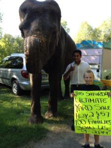 Preet Loves Pachyderms