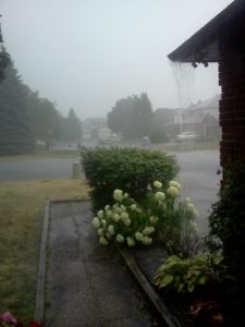 OverflowingGutters