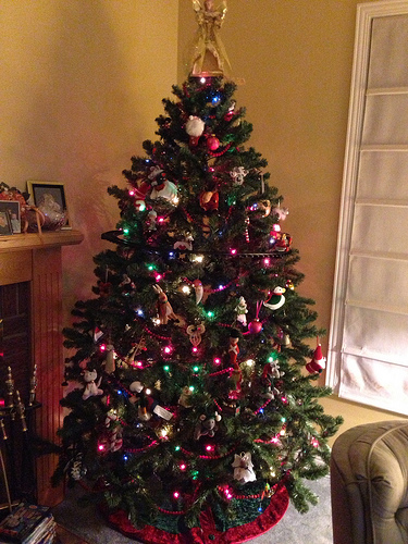 Merry Christmas 2012